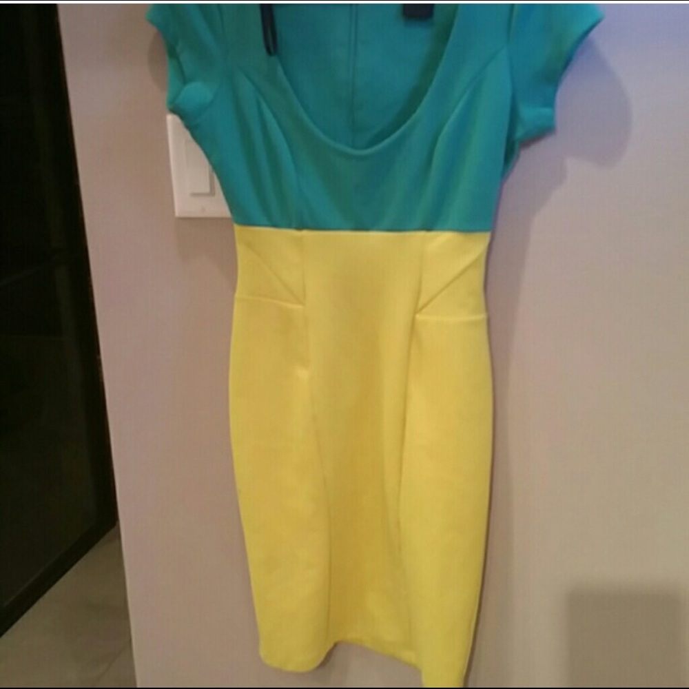 Form Fitting Color Block Dress